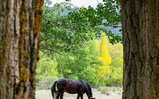 EXP06437, Balneario de Camarena de la Sierra en venta con 55.000 m2 de terreno, Camarena de la Sierra, TERUEL