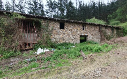 EXP05249, 14 Hectáreas de terreno rural con cuadra/pajar de 300 m2. Junto a la carretera, Llodio, ALAVA