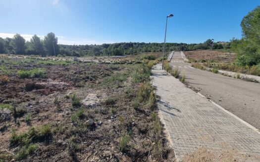 EXP06786, Gran terreno esquinero, El Catllar, TARRAGONA