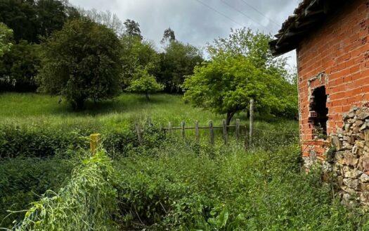 EXP07722, Oportunidad de Casa con cuadra y finca para reforma total, Mieres, ASTURIAS