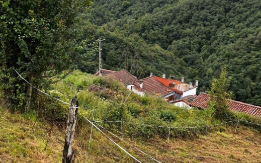 EXP07906, Oportunidad de finca edificable en el entorno natural y montañoso del Valle de Turón, Mieres, ASTURIAS