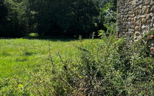 EXP08053, Cabaña de Piedra en Argomeda – Un Refugio de Paz y Naturaleza CON PROYECTO Y PERMISOS VIVIENDA, Villafufre, CANTABRIA