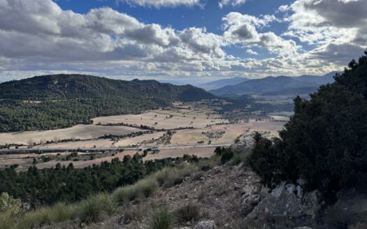 EXP07031, «¡Descubre el Paraíso en «Las Presillas»! Terreno con Viñedos en Huescar GRANADA, Puebla de Don Fadrique, GRANADA