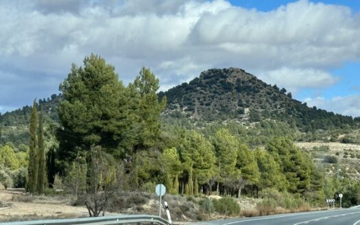 EXP07031, «¡Descubre el Paraíso en «Las Presillas»! Terreno con Viñedos en Huescar GRANADA, Puebla de Don Fadrique, GRANADA