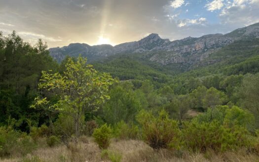 EXP07690, Finca Mas del Marraco con permisos para hacer un camping, Alfara de Carles, TARRAGONA