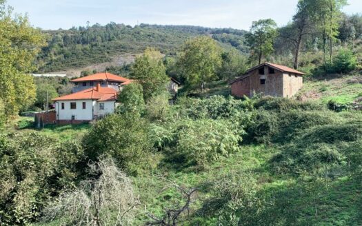 EXP06684, «Encantadora cabaña de piedra en La Doriga, Salas, Asturias – ¡Tu paraíso rural te espera!»-50.000 €, Salas, ASTURIAS