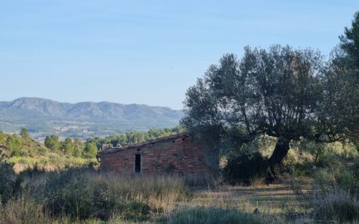 EXP07821, TERRENO RUSTICO CON CASITA EN RIBERA D’EBRE, Benissanet, TARRAGONA