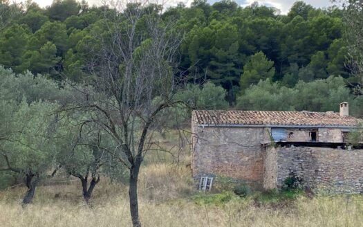 EXP07690, Finca Mas del Marraco con permisos para hacer un camping, Alfara de Carles, TARRAGONA