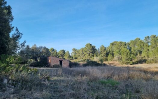 EXP07821, TERRENO RUSTICO CON CASITA EN RIBERA D’EBRE, Benissanet, TARRAGONA