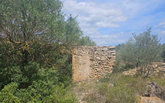 EXP07331, Finca Rústica en Rasquera, Rasquera, TARRAGONA