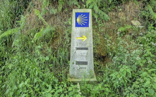 EXP07588, ¡Sueña Despierto en el Camino de Santiago!, O Pino, A CORUÑA