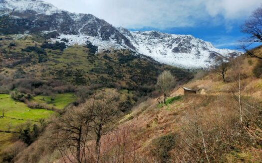 EXP07976, Venta de Terreno Rústico en la Falda del Aramo – Ideal para Agricultura y Ganadería, Riosa, ASTURIAS