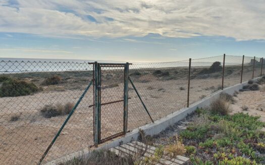 EXP08106, UN OASIS DE TRANQUILIDAD, Alicante, ALICANTE