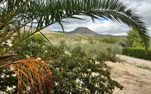 EXP08289, Finca rústica en Caravaca de la Cruz con más de 61.000 m² en un enclave único, Caravaca de la Cruz, MURCIA