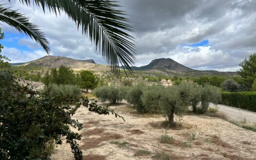 EXP08289, Finca rústica en Caravaca de la Cruz con más de 61.000 m² en un enclave único, Caravaca de la Cruz, MURCIA