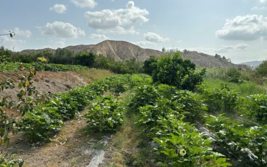 EXP08167, Terreno de cultivo en Terque, Terque, ALMERIA