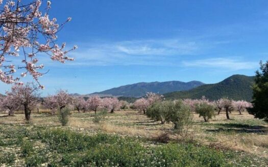 EXP08292, ESPECTACULAR FINCA EN VÉLEZ RUBIO, Velez Rubio, ALMERIA