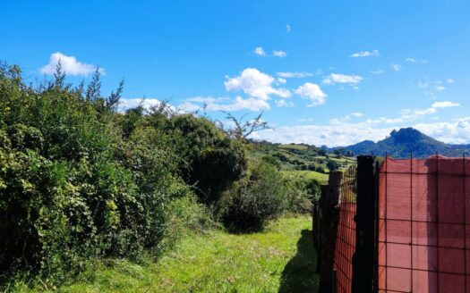 EXP08306, Construye tu hogar en el corazón de la naturaleza, Siero, ASTURIAS