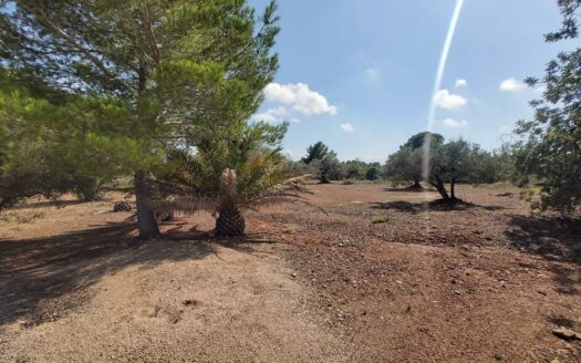 EXP06856, Finca Rústica en L’Ampolla, L` Ampolla, TARRAGONA