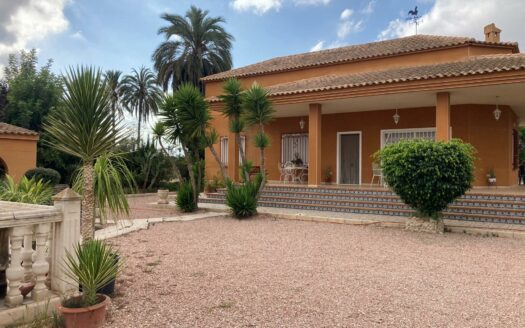 EXP06894, Finca rústica con dos casas!!, Elche pedanias, ALICANTE