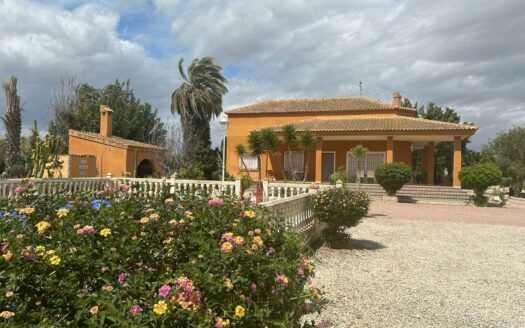 EXP06894, Finca rústica con dos casas!!, Elche pedanias, ALICANTE