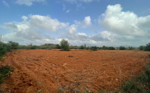 EXP08633, Se vende finca rústica edificable en Llucmajor, Llucmajor, BALEARES