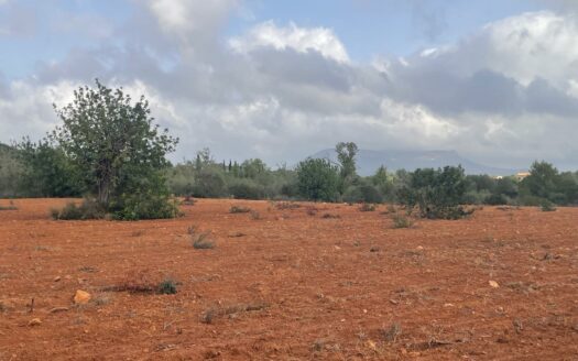 EXP08633, Se vende finca rústica edificable en Llucmajor, Llucmajor, BALEARES