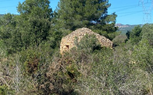 EXP08558, FINCA RUSTICA DE 4 HECTÁREAS AL PONT D’ARMENTERA, El Pont d’Armentera, TARRAGONA