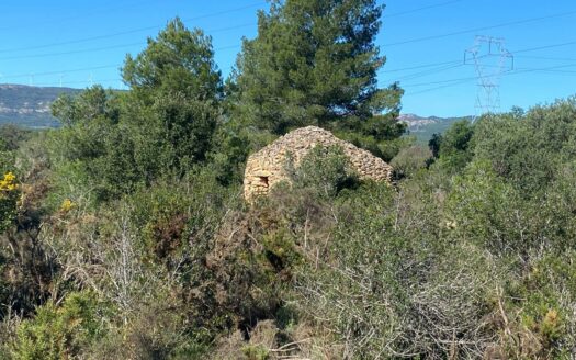 EXP08558, FINCA RUSTICA DE 4 HECTÁREAS AL PONT D’ARMENTERA, El Pont d’Armentera, TARRAGONA