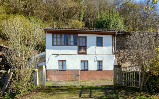 EXP08598, Espectacular caserío tradicional asturiano en Quirós., Quiros, ASTURIAS