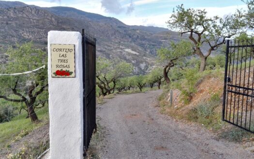 EXP08335, Cortijo ecologico con vistas al rio y piscina, Torvizcon, GRANADA