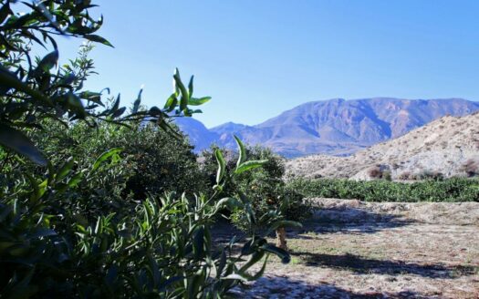 EXP06689, Finca en cultivo en Terque, Terque, ALMERIA