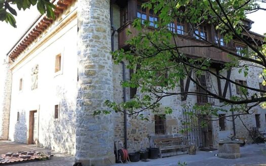 EXP07658, Palacio Medieval en Venta: Ideal para Vivir e Invertir, Barrundia, ALAVA